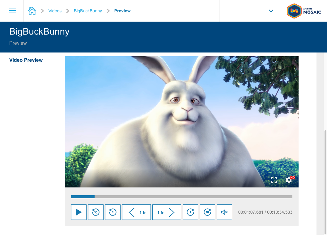 Video preview station showing a video playing in the Management System